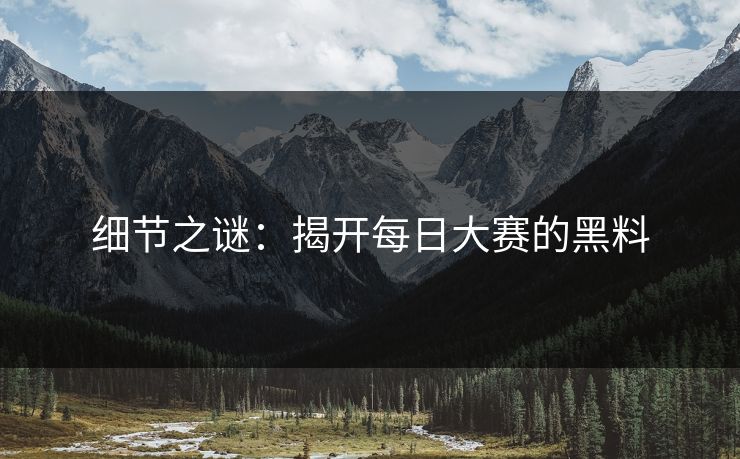 细节之谜：揭开每日大赛的黑料